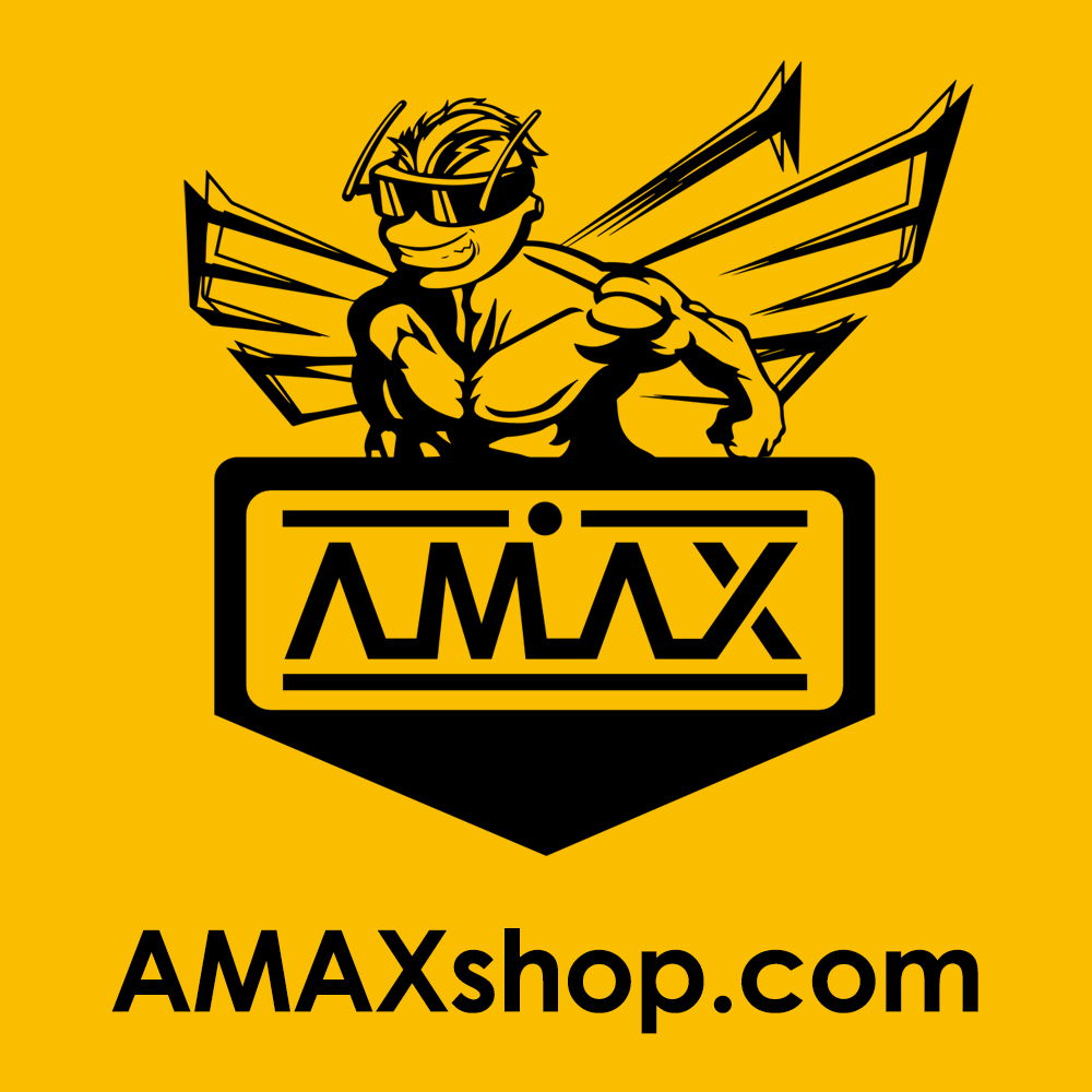 Logo amax